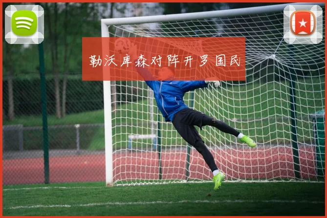 勒沃库森对阵开罗国民