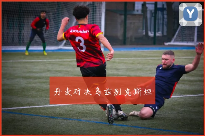 丹麦对决乌兹别克斯坦