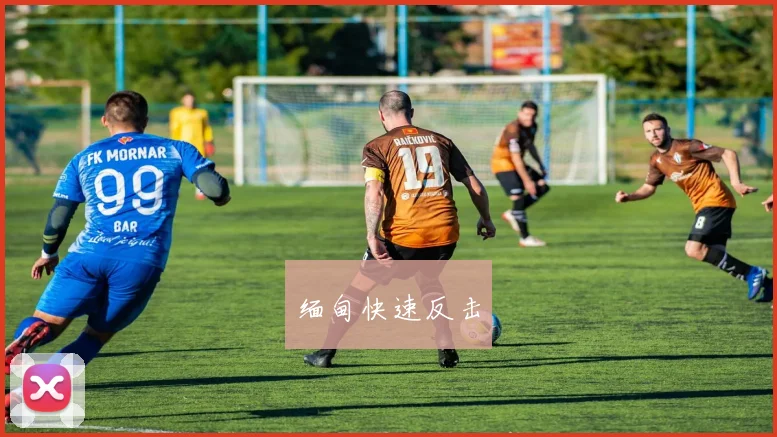 缅甸快速反击