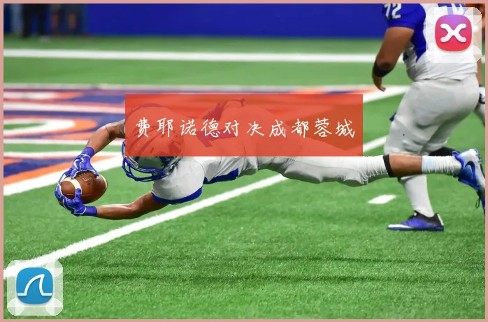 费耶诺德对决成都蓉城