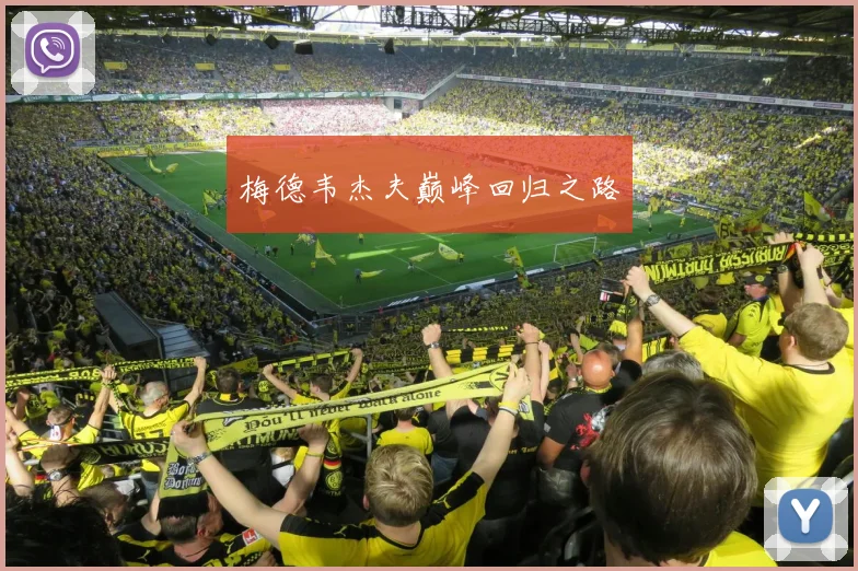 梅德韦杰夫巅峰回归之路