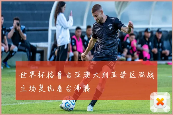 世界杯格鲁吉亚澳大利亚禁区混战主场复仇看台沸腾