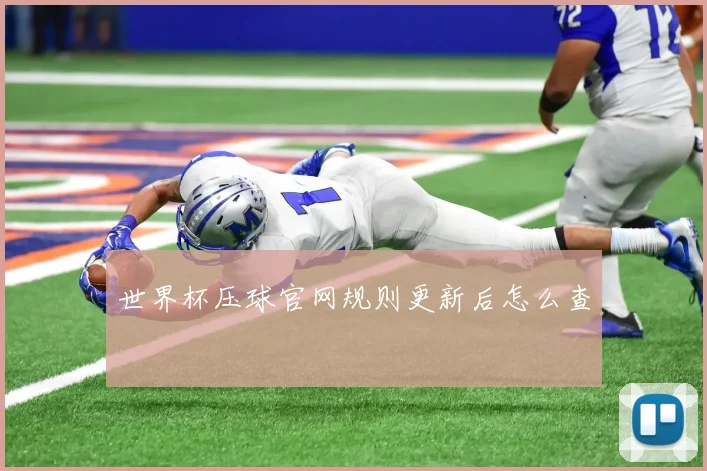 世界杯压球官网规则更新后怎么查