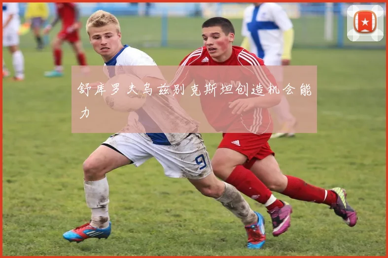 舒库罗夫乌兹别克斯坦创造机会能力