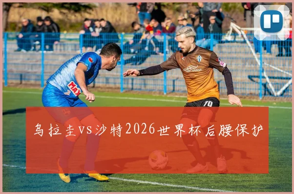 乌拉圭vs沙特2026世界杯后腰保护