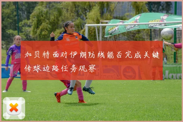 加贝特面对伊朗防线能否完成关键传球边路任务观察