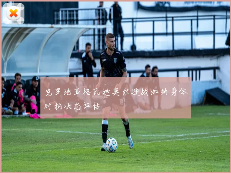 克罗地亚格瓦迪奥尔迎战加纳身体对抗状态评估